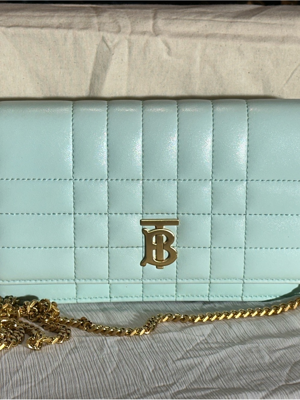 Burberry Quilted Leather Crossbody in Mint Green with Gold Hardware - Picture 1 of 7